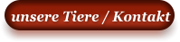 unsere Tiere / Kontakt