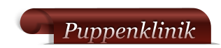 Puppenklinik